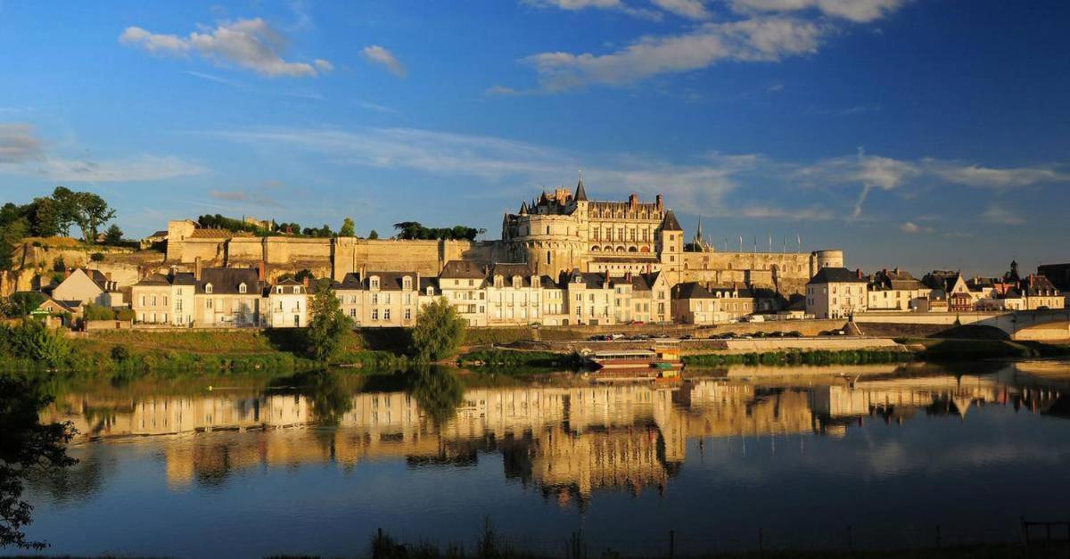 Le Balzac / Colbert - Bord De Loire Apartment Tours Ngoại thất bức ảnh