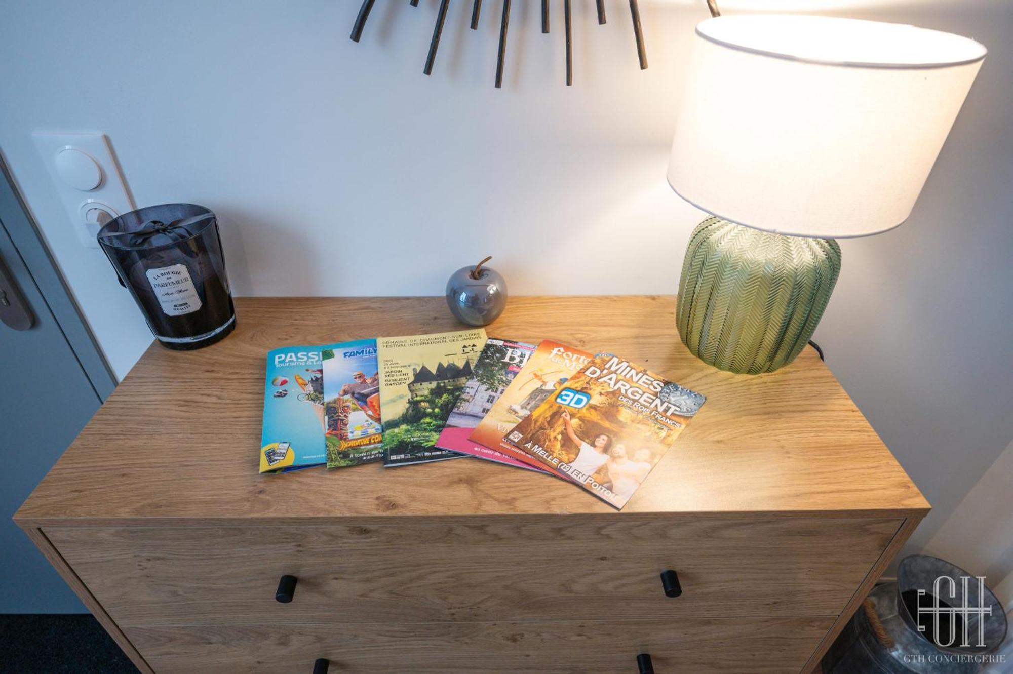 Le Balzac / Colbert - Bord De Loire Apartment Tours Ngoại thất bức ảnh