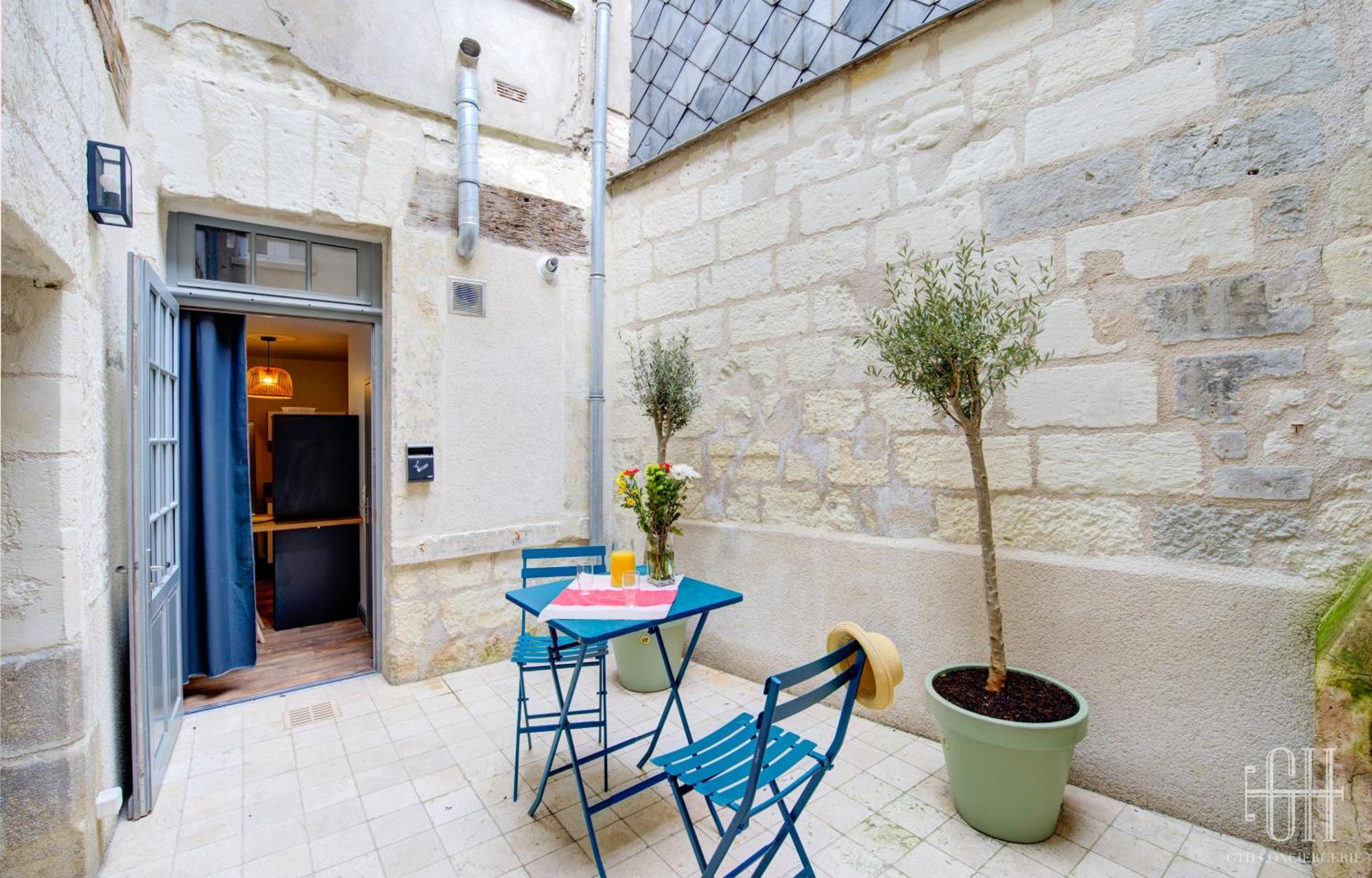 Le Balzac / Colbert - Bord De Loire Apartment Tours Ngoại thất bức ảnh